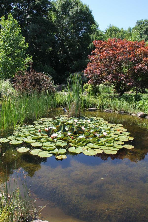 Fewo - Wohlfuehlambiente & Gartenparadies Modautal Buitenkant foto