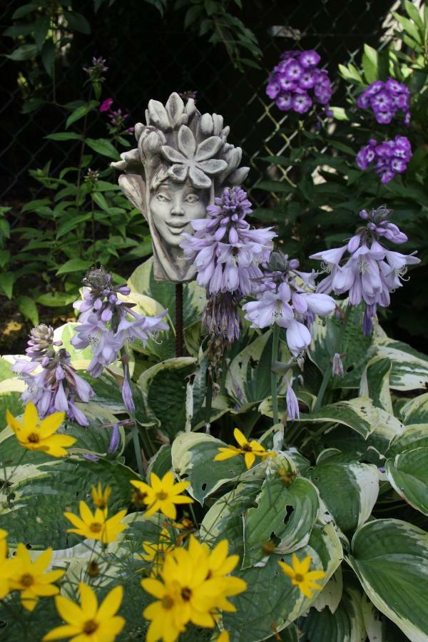Fewo - Wohlfuehlambiente & Gartenparadies Modautal Buitenkant foto