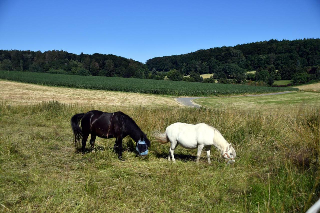 Fewo - Wohlfuehlambiente & Gartenparadies Modautal Buitenkant foto