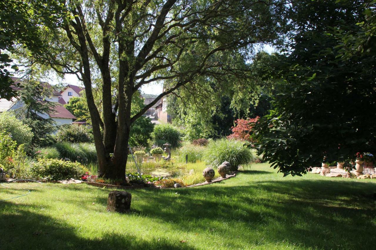Fewo - Wohlfuehlambiente & Gartenparadies Modautal Buitenkant foto